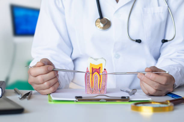 Best Emergency TMJ Treatment in Weston, NJ